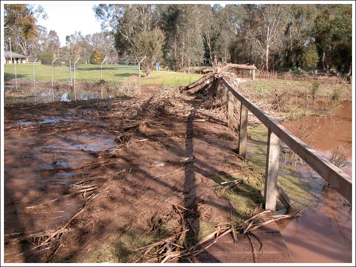 View 2.
Our planting on the left obliterated by mud and debris.
