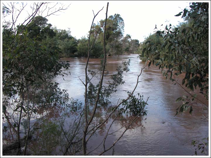 View 3.
The Macalister downstream from the Newry Creek junction.
