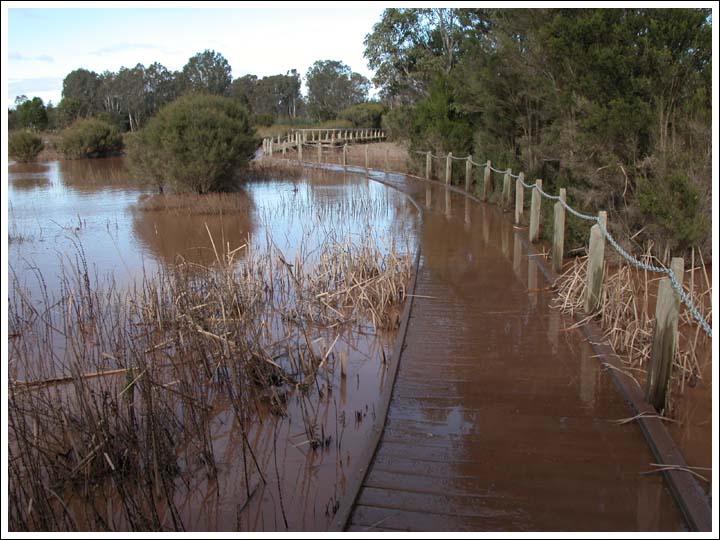 View 6.
The bird hide boardwalk still partially under water.
