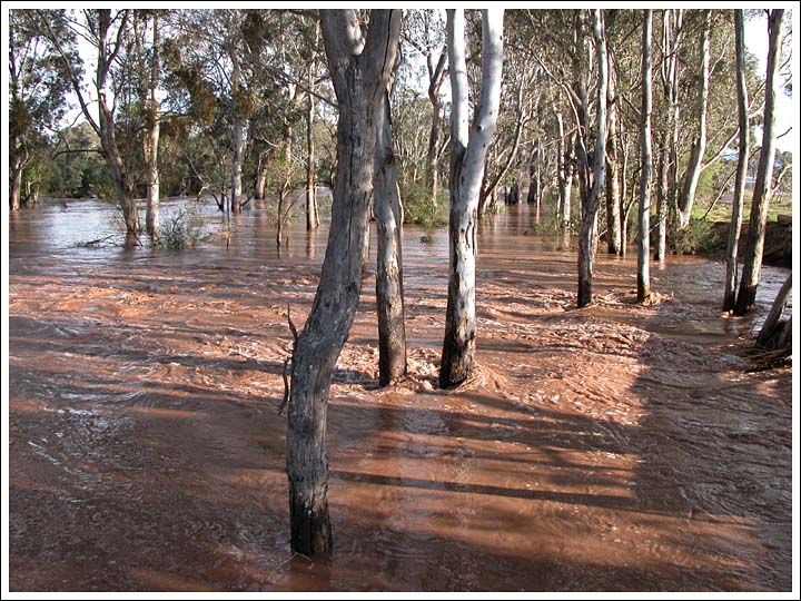 View 9
Water entering Bellbird Corner Reserve from the neighbouring property.

