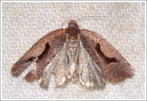 bc053.jpg