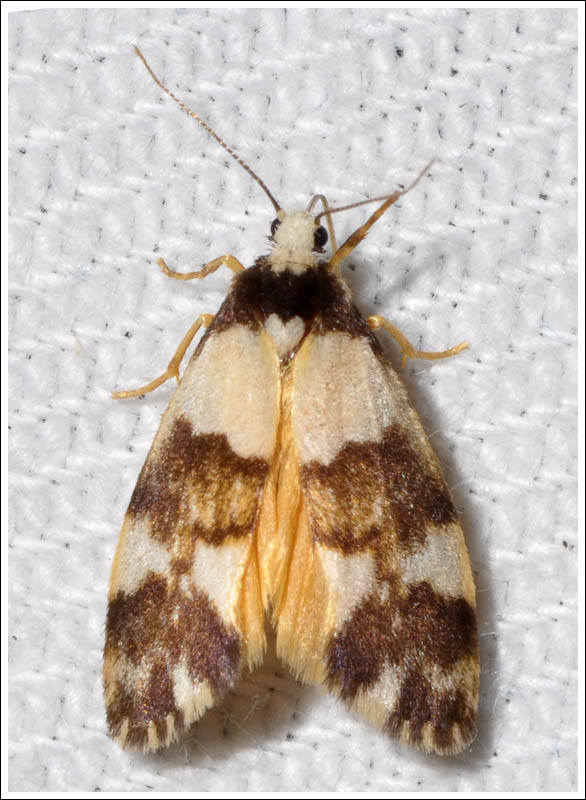 col027.jpg