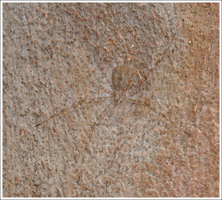 sp027.jpg