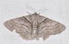 Filename=bgb016.jpg
Filesize=135KiB
Dimensions=900x571
Date added=Nov 02, 2013 bgb016.jpg