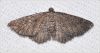 Filename=cmda019.jpg
Filesize=120KiB
Dimensions=900x483
Date added=Mar 19, 2016 cmda019.jpg