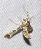 Filename=cmda022.jpg
Filesize=106KiB
Dimensions=675x800
Date added=Mar 19, 2016 cmda022.jpg