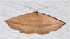 Filename=cr049.jpg
Filesize=117KiB
Dimensions=900x511
Date added=Oct 23, 2014 cr049.jpg