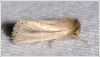 Filename=maf016.jpg
Filesize=73KiB
Dimensions=800x457
Date added=Apr 15, 2013 maf016.jpg