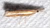Filename=maf024b.jpg
Filesize=79KiB
Dimensions=800x445
Date added=Apr 15, 2013 maf024b.jpg