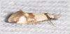 Filename=maf036.jpg
Filesize=67KiB
Dimensions=800x392
Date added=Apr 15, 2013 maf036.jpg