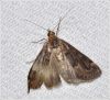 Filename=mnp040.jpg
Filesize=157KiB
Dimensions=900x821
Date added=Mar 10, 2018 mnp040.jpg