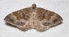 Filename=ppbt028.jpg
Filesize=109KiB
Dimensions=900x491
Date added=Mar 04, 2016 ppbt028.jpg